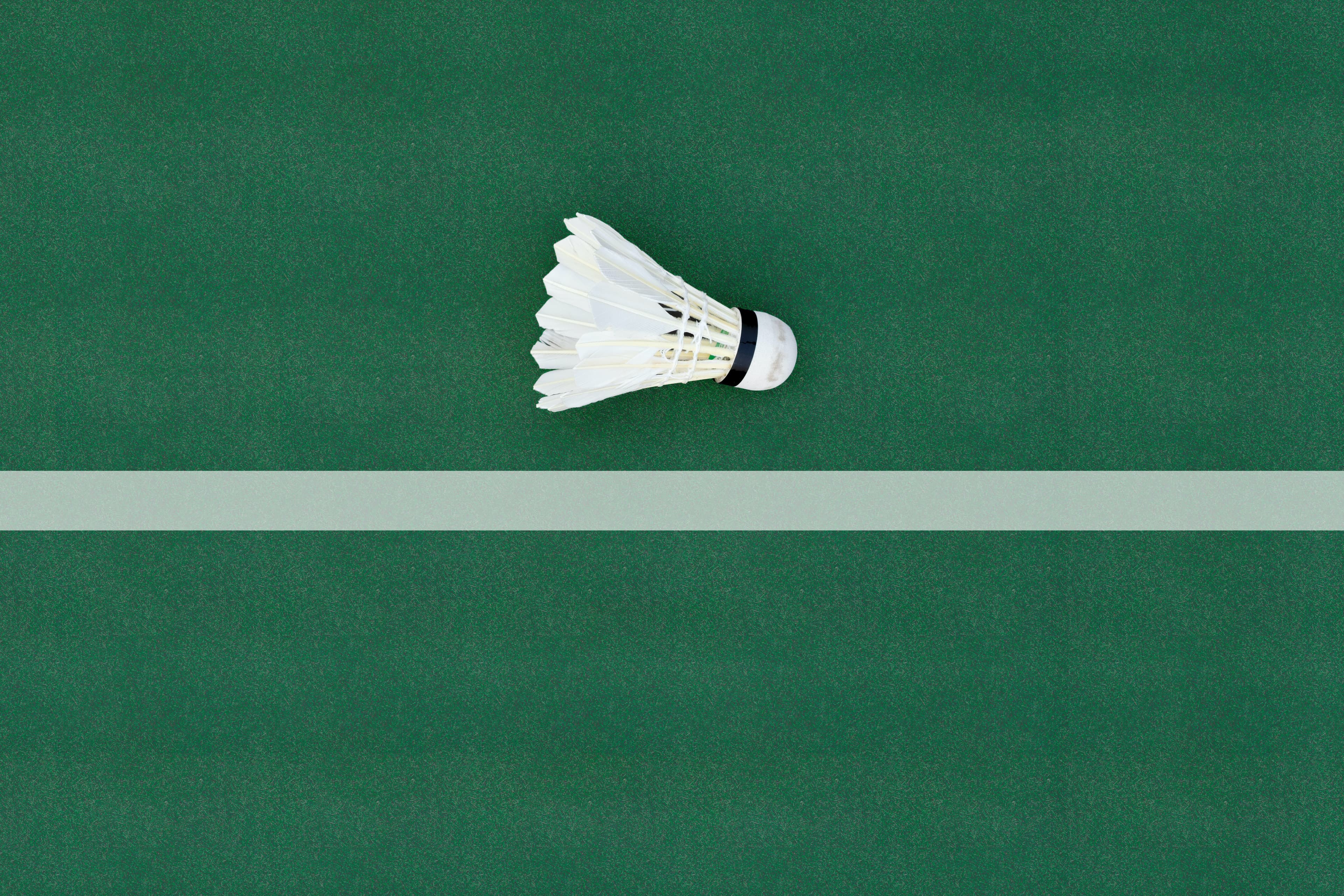 Badminton Courts