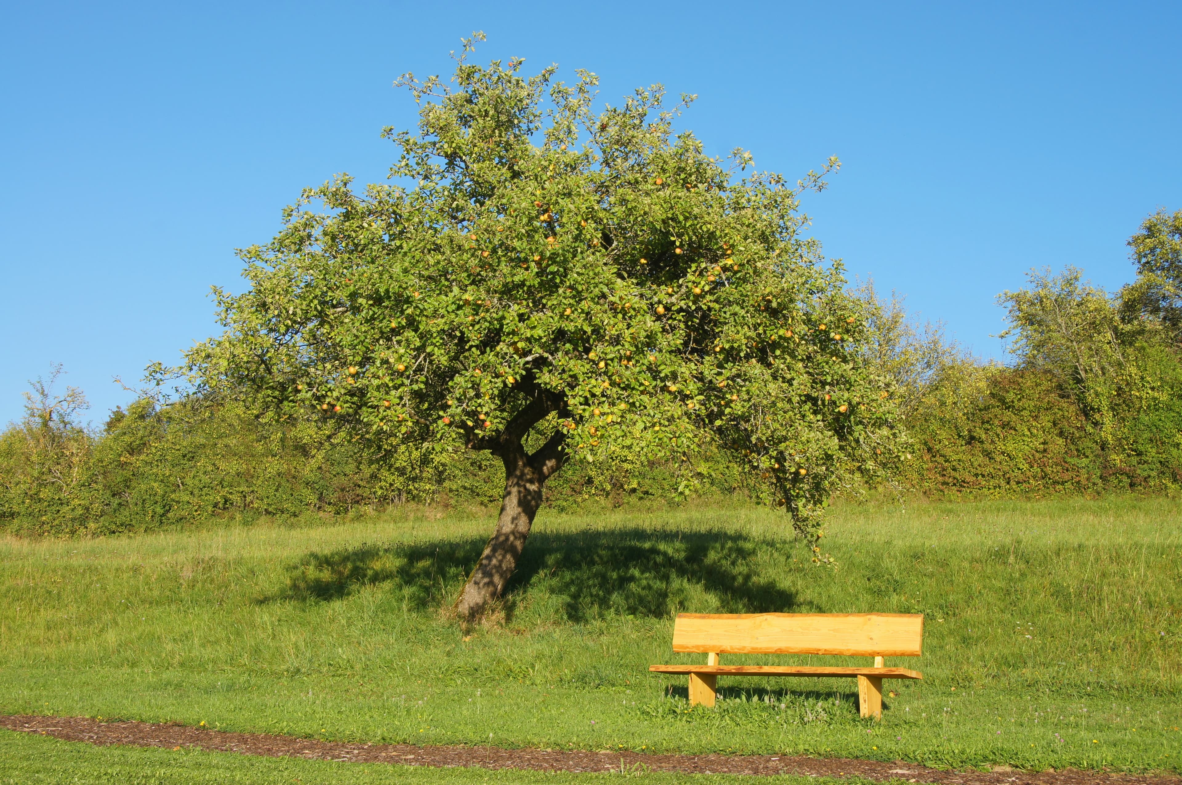 Open Seating Area