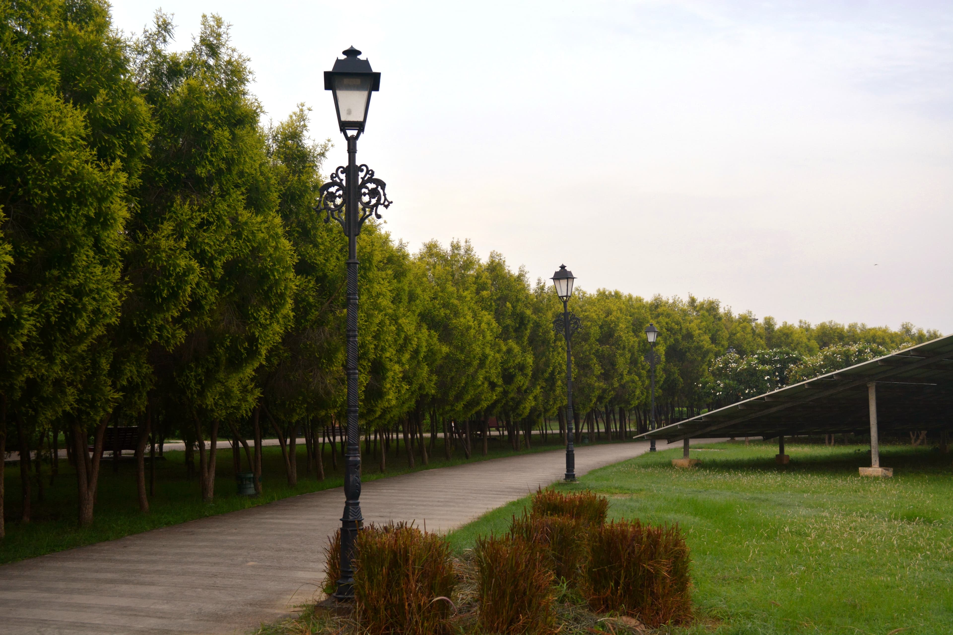 Walking Track